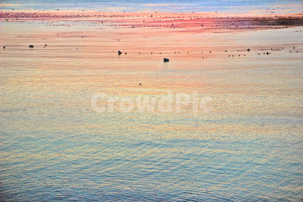 노을,일몰,석양,색감,감성사진,고요함,바다,강,풍경,분위기,자연,풍경,nature,landscape,색깔,색상,색채,색감,color sense,color sensitivity,feeling of color,outdoors,옥외