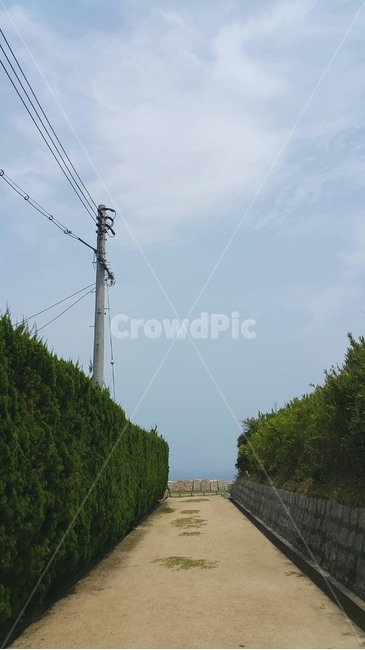 하늘,수평선,지평선,숲,가로등,탁트인,바다,풍경,초록,하늘색,구름,산책,도보,땅