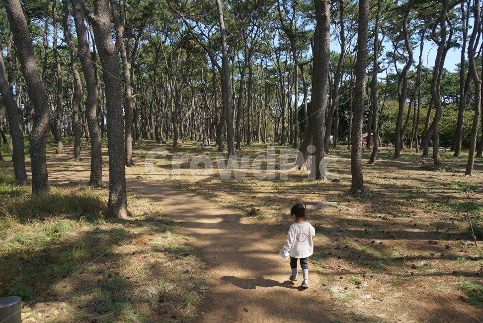 자연,나무,아이,주말,울산,자연,풍경,nature,landscape,사람,인물,인간,human,person,어린이,어린아이,child,children,kid,vegetation,초목,plant,식물,tree,outdoors,옥외,woodland,삼림지,forest,숲,land,땅,ground,바닥