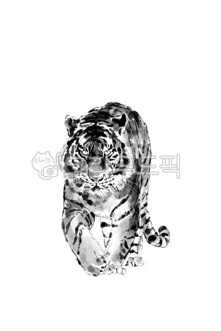 호랑이,호랑이그림,호랑이동양화,동양화,수묵화,호랑이수묵화,수묵일러스트,먹그림,동물그림,일러스트,흑백그림,맹수,그림,한국화