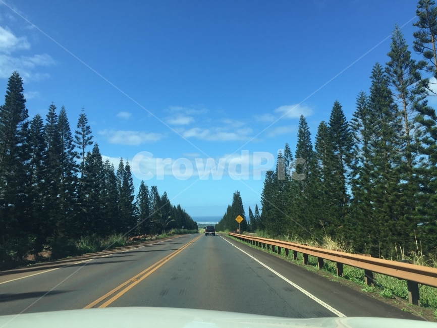 운전,가로수,도로,하늘,여행,road,tree,자연,풍경,nature,landscape,해외,외국,세계,foreign,oversea,world,세계자연풍경,해외자연풍경,외국자연풍경,world nature landscape,교통,교통수단,traffic,transportation,freeway,고속 도로,highway,고속도로