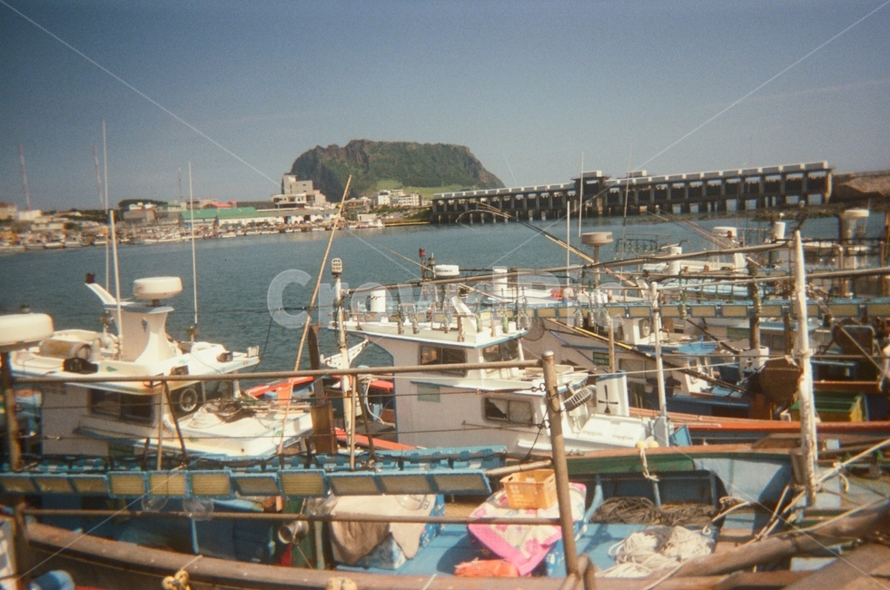 제주,필름카메라,필름,film,jeju,바다,배,korea