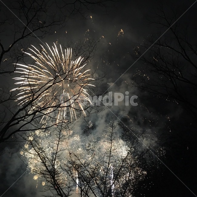 폭죽,불꽃축제,장노출,야경,밤,품경,nightscape,nightland