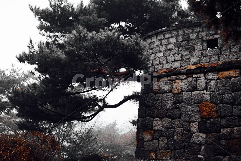 촉촉,느낌,감성,emotion,비,흐림
