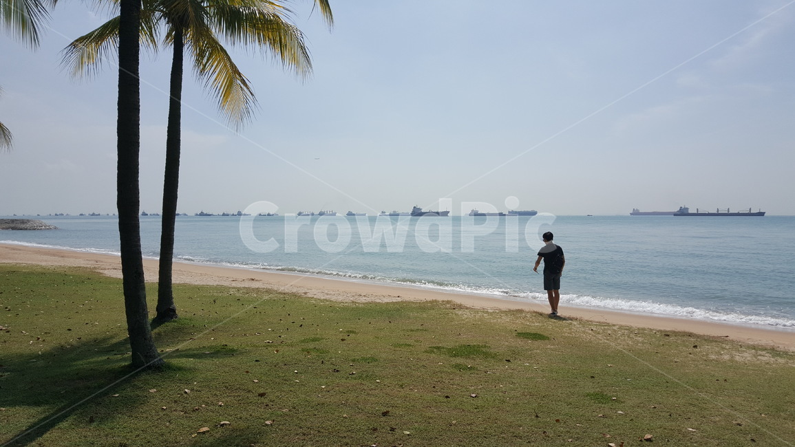 공원,바닷가,싱가포르,남자,siagapore,man,sea,beach,나무,tree