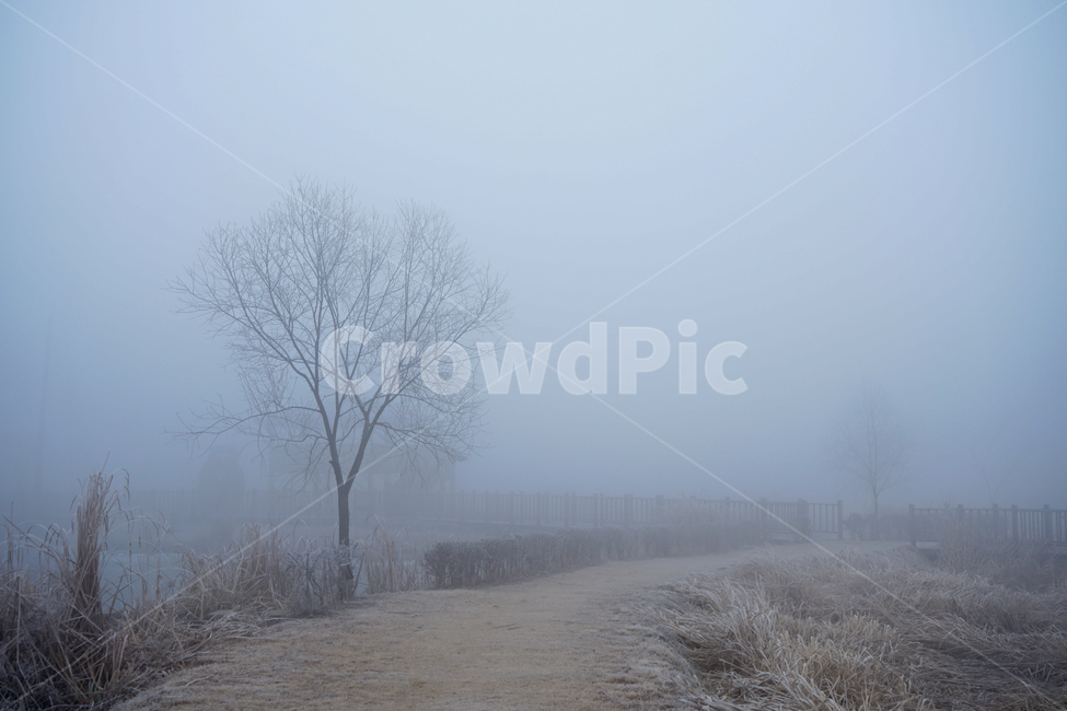 겨울,나무,감성,계절,공원,식물,겨울,계절,winter,season,자연,풍경,nature,landscape,outdoors,옥외,weather,날씨