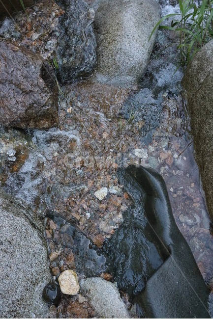 여름,휴가,계곡,물,초록,돌,바위,summer,natsu,vacation,kyuuka,valley,keikoku,water,mizu,green,midori,stone,ishi,rock,iwa,식물,plants,shokubutsu