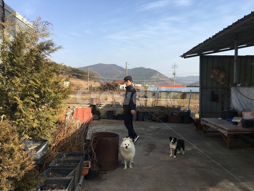 아빠,시골,명절,아빠와강아지,시골집