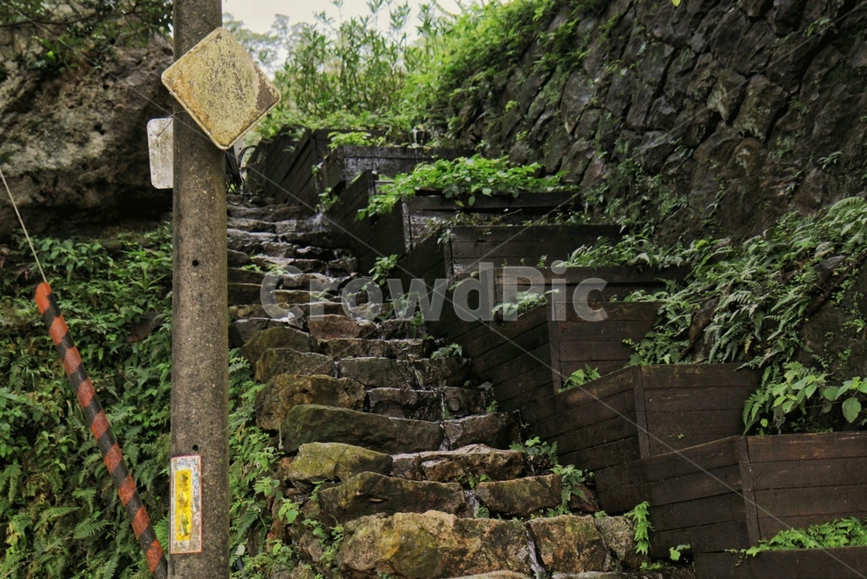 계단,시냇물,전봇대,풀,담쟁이넝쿨,자연,대만,자연,풍경,nature,landscape,slate,슬레이트,outdoors,옥외,garden,정원,arbour,정자