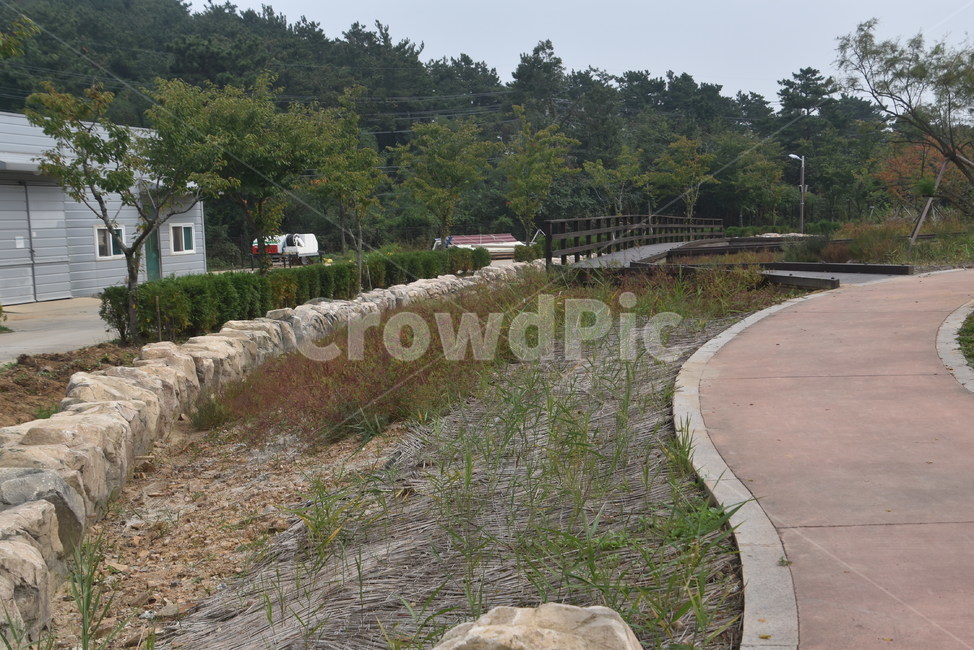 나무,수목원,바다향기수목원,도로,road,자연,풍경,nature,landscape,flagstone,판석