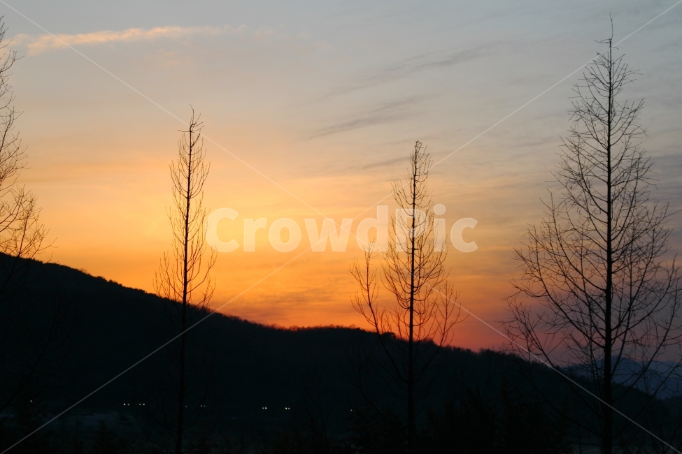 풍경사진,자연,석양,겨울,나무,하늘,색감,TREE,SKY,WINTER,겨울,계절,winter,season,자연,풍경,nature,landscape,실루엣,그림자,silhouette,shadow,outdoors,옥외,sky,dusk,황혼,sunset,일몰,red sky,붉은 하늘,dawn,새벽