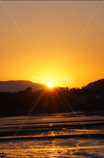 일출,바다,해,풍경,햇빛,자연,풍경,nature,landscape,light,빛,flare,플레어,sunlight,outdoors,옥외