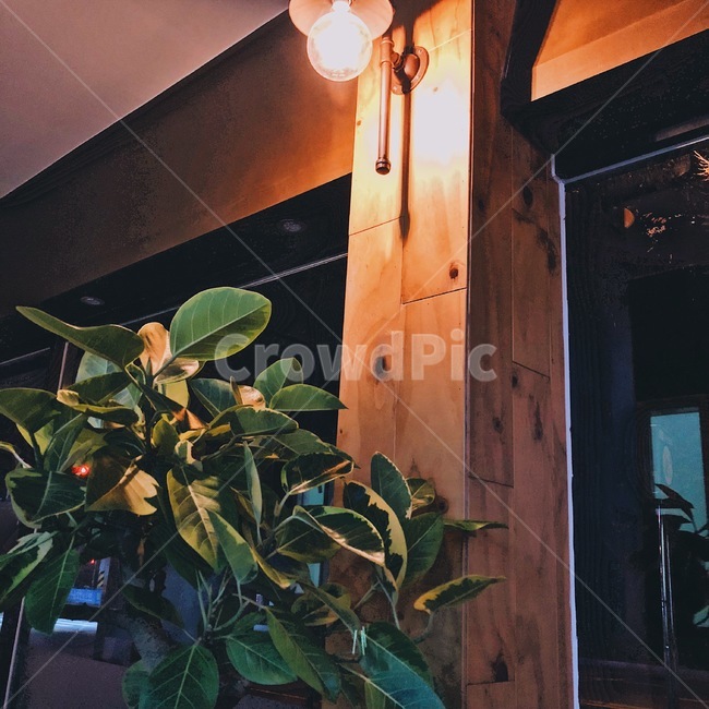 조명,화분,무드등,까페,저녁,인테리어,실내디자인,interior design