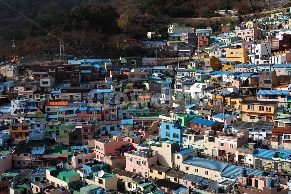 부산,감천,마을,언덕,동네,감천문화마을,골목,풍경,감성,색감,명소,관광지,필수코스,도시,풍경,city,landscape,한국도시풍경,한국도시경관,korea cityscape,경치,outdoors,옥외,nature,자연,scenery,aerial view,조감도