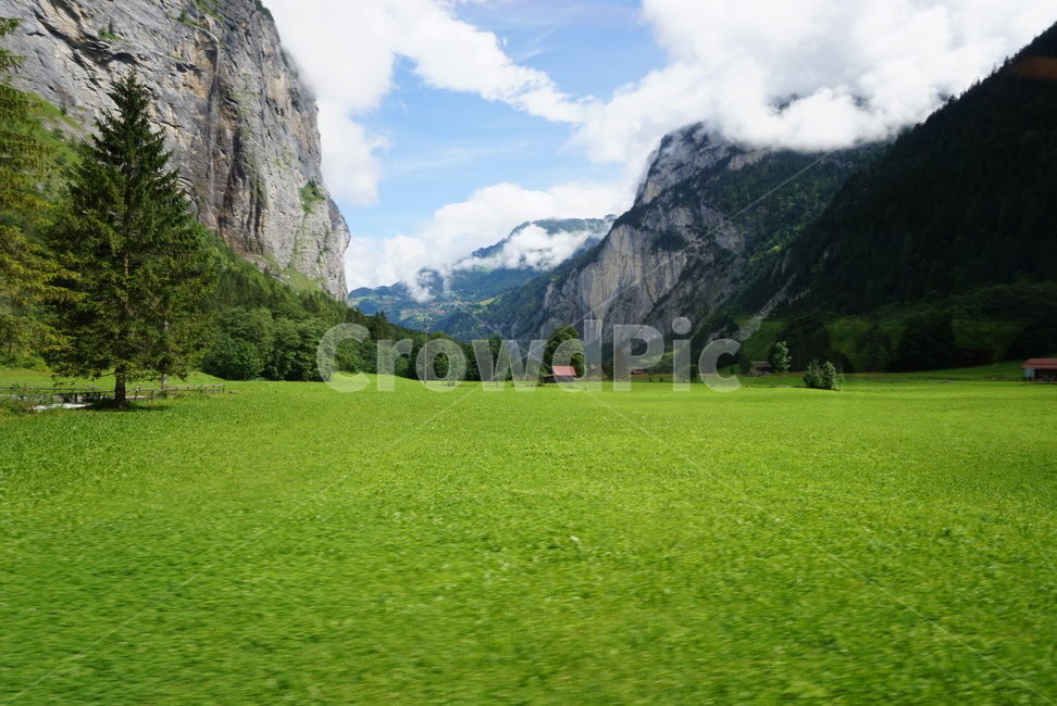 스위스,자연,풍경,경치,평온,자연,풍경,nature,landscape,해외,외국,세계,foreign,oversea,world,세계자연풍경,해외자연풍경,외국자연풍경,world nature landscape,plant,식물,grass,잔디,outdoors,옥외