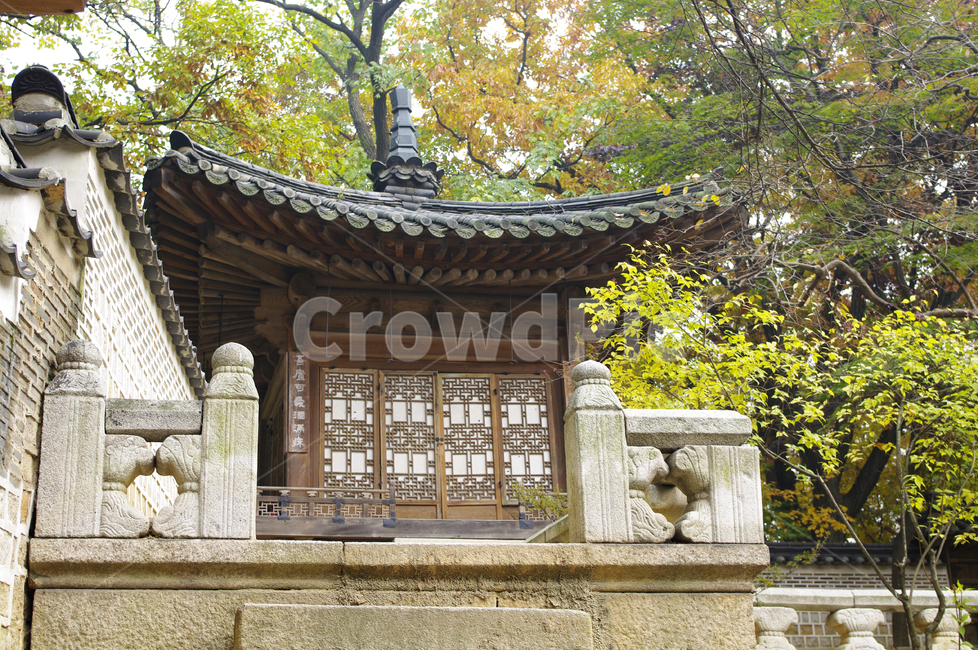 창덕궁,창덕궁후원,농수정,고궁,건축,전통건축,traditional,전통,가을,fall,나무,식물,plant,단풍,가을,계절,fall,autumn,season,한국전통,한국문화,korean traditional,korean culture,건축물,건물외관,exterior,building,structure,architecture,construction,건물,temple,신전