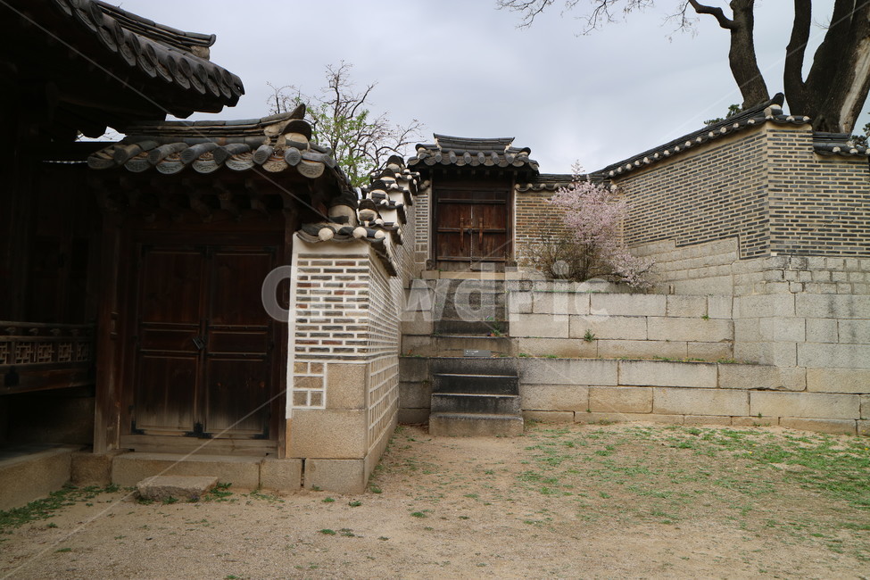 창덕궁,봄,산책,꽃,서울,궁궐,전통,풍경,한국전통,한국문화,korean traditional,korean culture,랜드마크,landmark,tourist attraction,한국랜드마크,한국관광지,한국명소,korea landmark,korea tourist attraction,건축물,건물외관,exterior,building,structure,architecture,construction