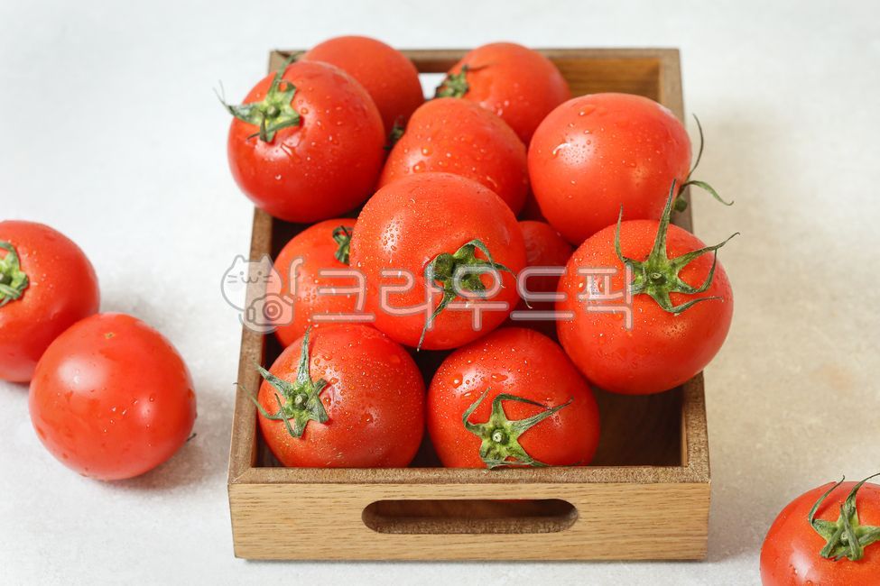 토마토,과일,채소,여름과일,여름채소,tomato,여름