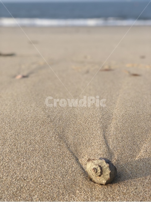 conch,tide,beating,nature,sand,Beach,blue sea,outdoors,sandy beach,Conch Dong,white sand beach
