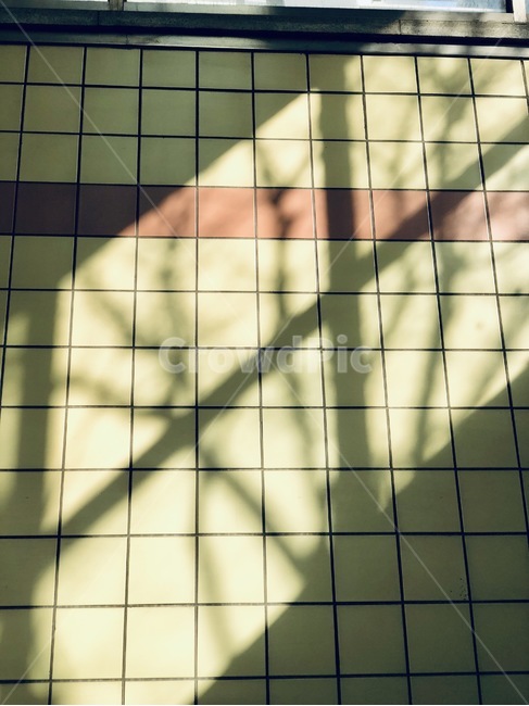 지하철,벽,그림자,빛,햇빛,오후,실루엣,그림자,silhouette,shadow