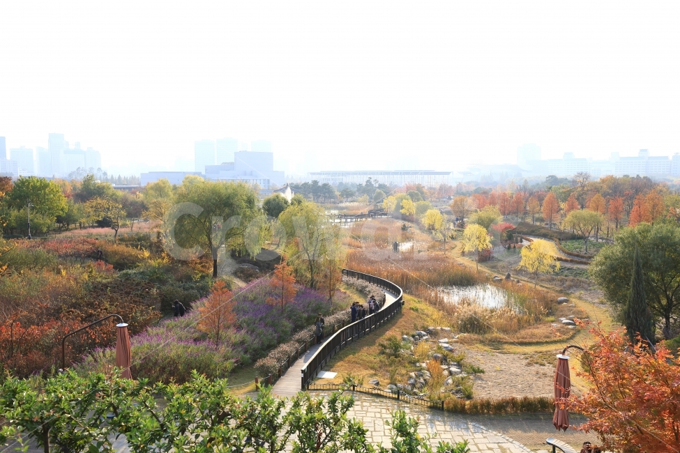 가을,공원,호수,풍경,나무,background,landscape,사람들,색,단풍,가을,계절,fall,autumn,season,도시,풍경,city,landscape,한국도시풍경,한국도시경관,korea cityscape,outdoors,옥외