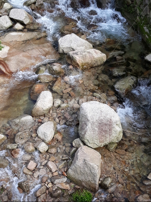 북한산계곡,냇가,야외,청정우,여름,자연,풍경,nature,landscape,water,물,outdoors,옥외
