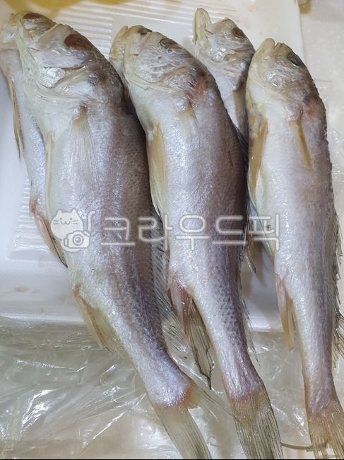 조기, 물고기, fish, 굴비, 음식, 사진,이미지,일러스트,캘리그라피 - 햇님공주작가