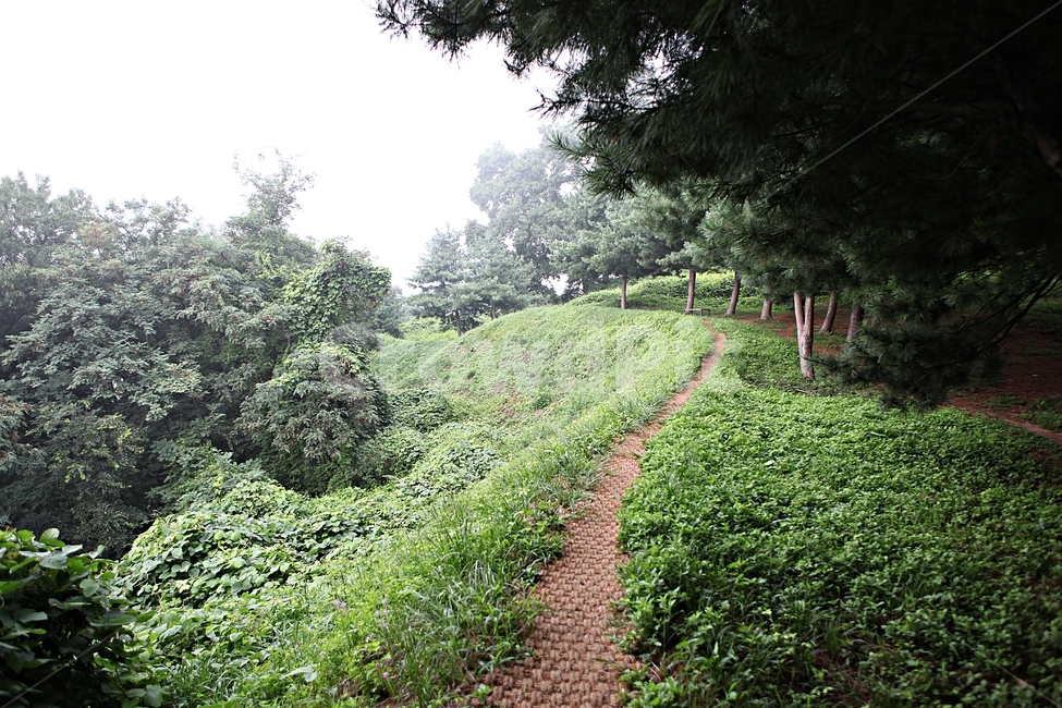 오솔길,길,둘레길,숲,숲길,식물,나무,풍경,여름,자연,풍경,nature,landscape