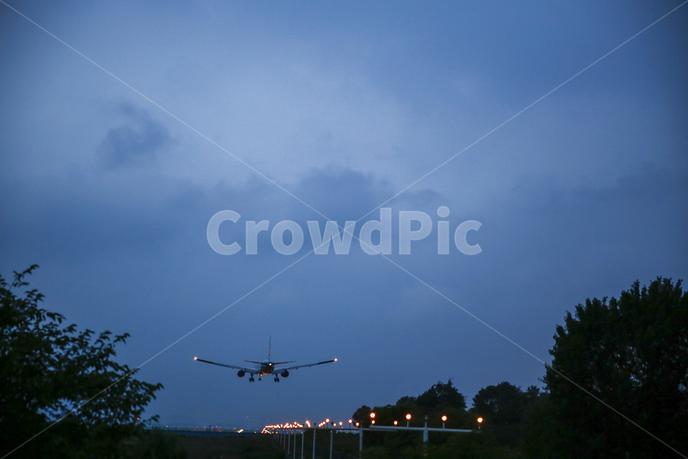 비행,비행기,야간비행,밤,밤하늘,나무,구름,flight,fly,plant,aircraft,airplane,anightflight,nightflying,night,anightsky,tree,cloud,공항,airport,착륙,하늘,가로등,불빛,고가도로,도착,항공