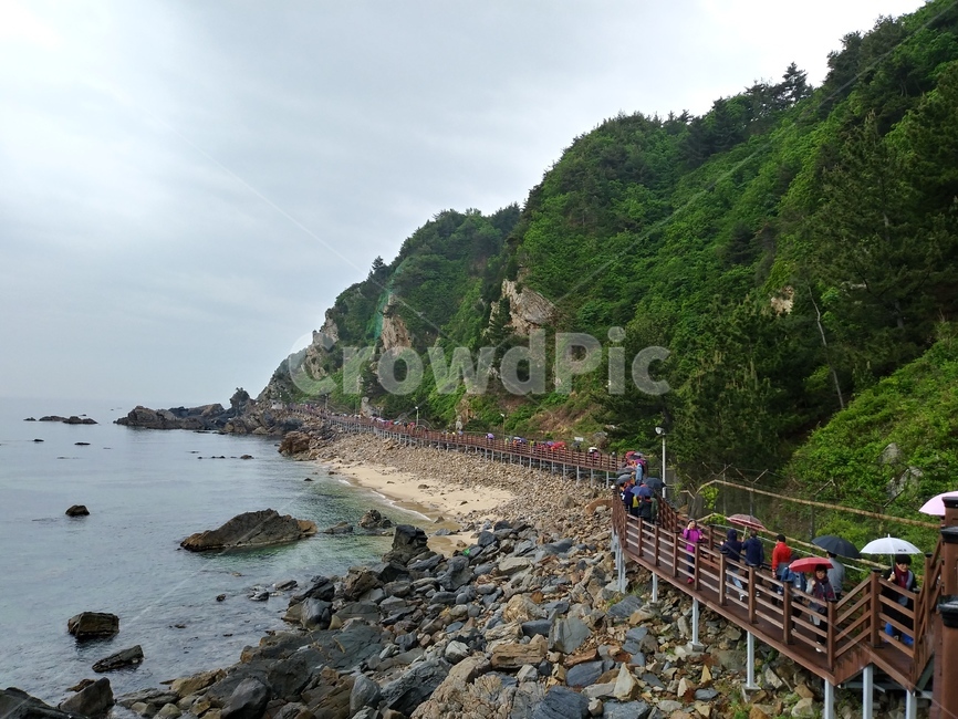 부채바위,부채길,정동진부채바위,강릉부채바위,부채바위길,해안길,바다,ocean,sea,해안선,해안가길,자연,풍경,nature,landscape