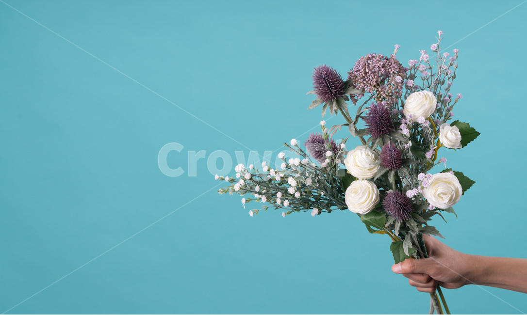 흰색,자연,녹색,장식,봄,식물,잎,디자인,꽃다발,결혼,계절,여름,야생화,줄기,신선하다,아름답다,향기,꽃,안개꽃,만개,나뭇잎,생명,부케,고백,사랑,선물,프로포즈,bouquetflowerbouquetlove,marriage,seasonal,summer,wildflower,stem,fresh,fragrance,petal,bloom,leaf,flower,life,bouquet,꽃,flower,사람,인물,인간,human,person,신체일부,몸,body