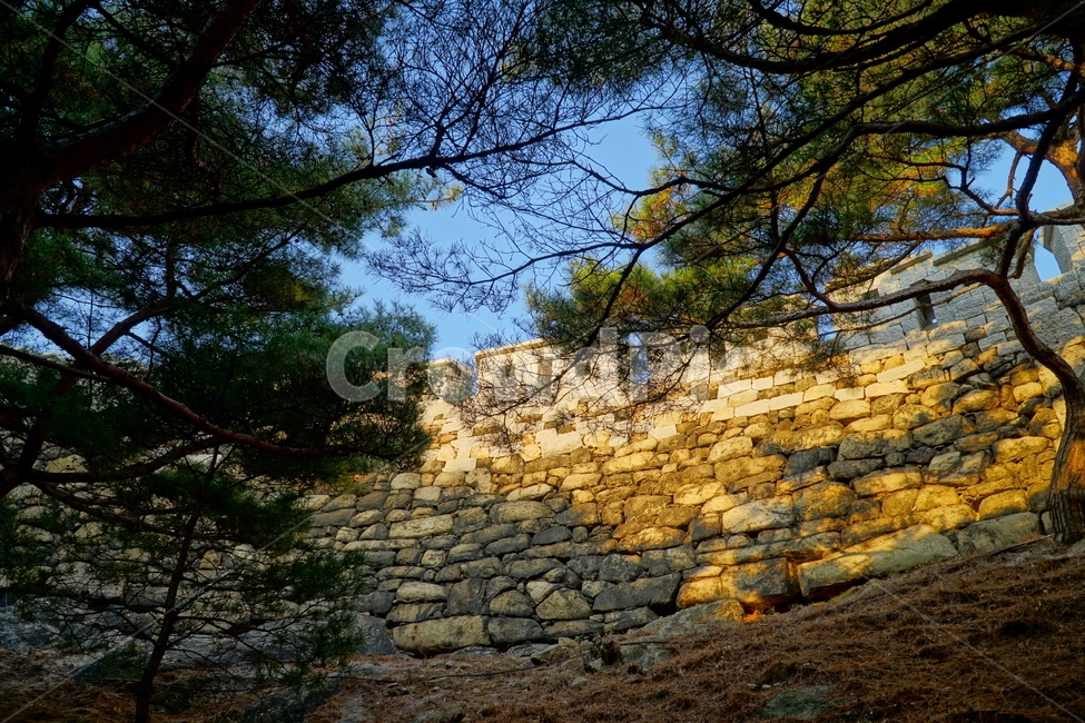 인왕산,한양도성,한양도성길,순성,순성길,서울,한국,코리아,나무,소나무,성벽,캐슬,castle,seoul,korea,mountain,sky,하늘,자연,풍경,경치,nature,landscape,scenery,scene,view,vista,한국적인,한국문화,한국전통,한국문화재,전통문화,전통,문화,문화재,유적,유적지,가을,autumn,fall,한국전통,한국문화,korean traditional,korean culture,건축물,건물외관,exterior,building,structure,architecture,construction