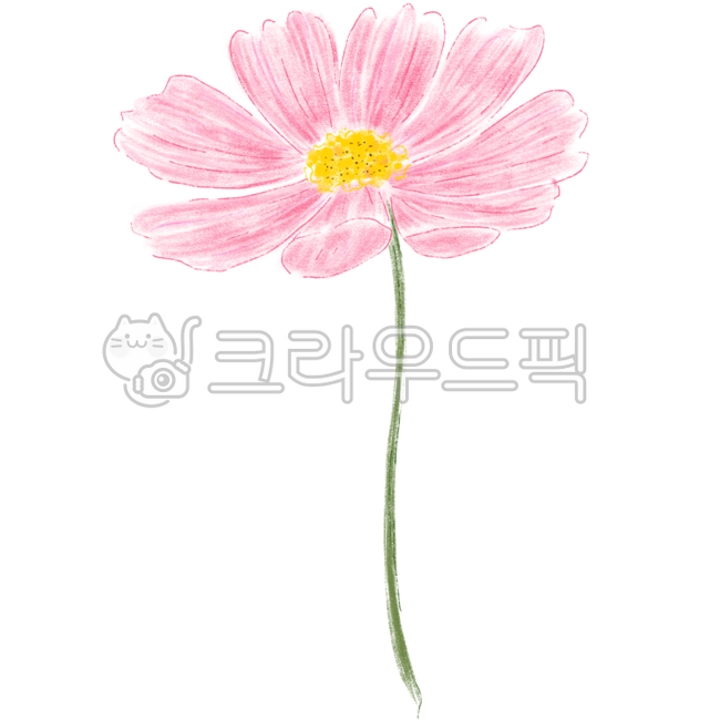 코스모스,코스모스일러스트,cosmos,가을꽃,꽃,식물,가을,autumn,fall,가을감성,핑크,분홍꽃,일러스트,flower,예쁜,하늘하늘,pink,코스모스손그림,코스모스그림,코스모스아이콘,코스모스꽃,꽃일러스트,꽃손그림,가을코스모스,장식,배경,꾸미기,디자인소스,디자인요소,plant,가을요소,가을소스,수채화,수채느낌,분홍코스모스,핑크코스모스,한송이