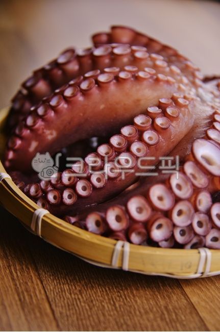 문어,숙회,바다생물,음식,먹거리,문어회,돌문어,자숙문어,문어숙회,연체동물,식재료,문어다리,음식,식재료,요리,food,cook,meal,dishes,food reserves