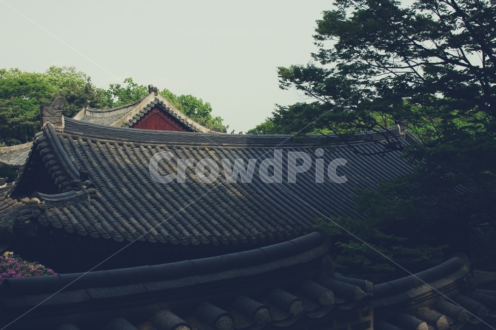 전통,성,창경궁,traditional,한국,대한민국,korea,지붕,기와,roof,궁,castle,곡선,한국전통,한국문화,korean traditional,korean culture,건축물,건물외관,exterior,building,structure,architecture,construction