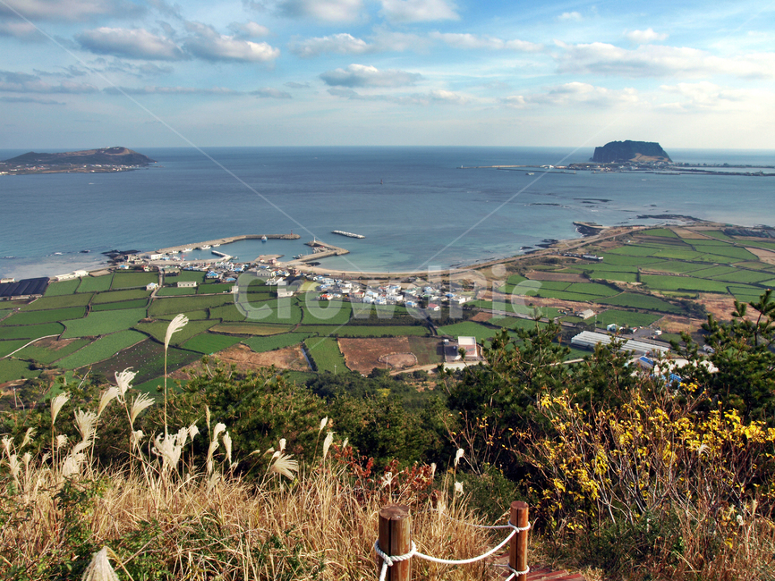 우도,지미봉,오름,올레21코스,올레,제주,성산일출봉,바다,마을,전원,종달포구,억새,제주도,jeju,jeju island,시골,마을,풍경,landscape,country,rural,town,nature,자연,outdoors,옥외,land,땅,scenery,경치