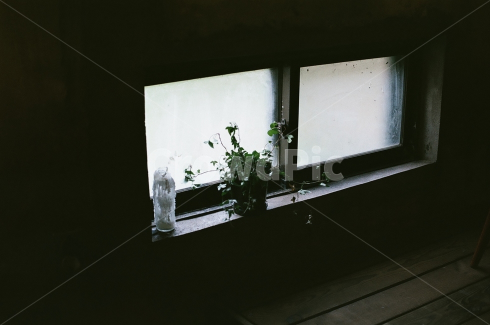 필름카메라,필름사진,감성사진,제주도카페,역광사진,인테리어,실내디자인,interior design