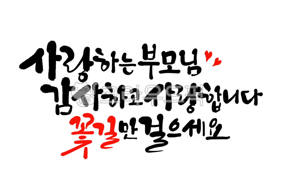 부모님,어버이날캘리그라피,어버이날캘리그래피,부모님감사,감사인사,감사하고사랑합니다,꽃길만걸으세요,부모님인사말,부모님감사말,부모님감사글,감사캘리그라피