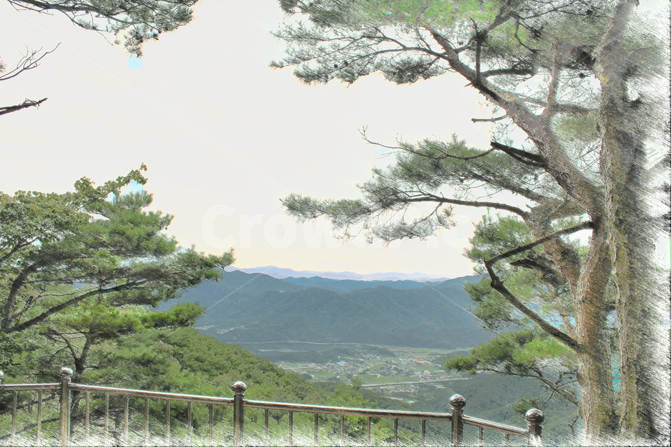 소나무,바람,모악산,풍경,경치,여름,자연