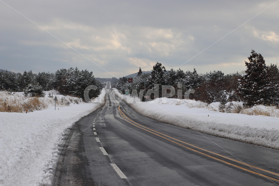 눈,제주,도로,눈내린도로,road,겨울,계절,winter,season,자연,풍경,nature,landscape