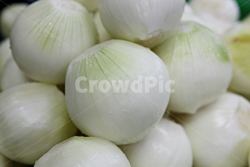 양파,깐양파,채소,뿌리채소,식재료,먹거리,양념,자연,음식,식재료,요리,food,cook,meal,dishes,food reserves,채소,야채,vegetables