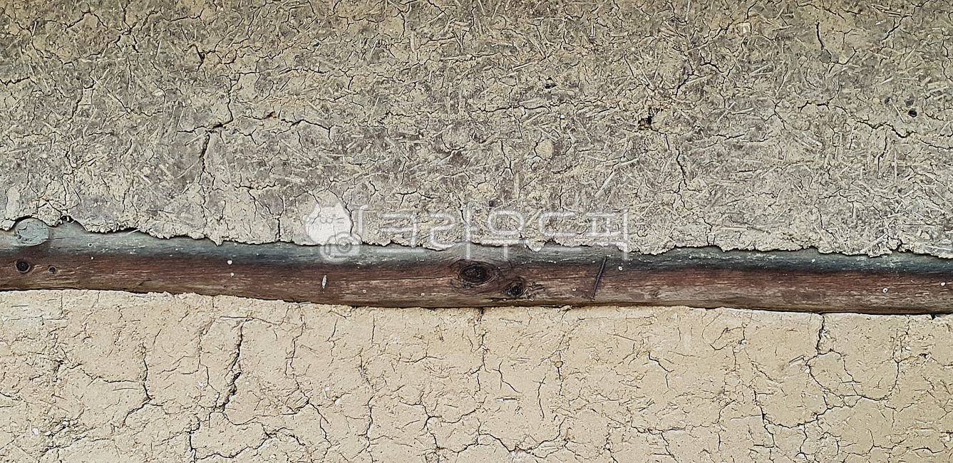 offshoot,cracked soil,brick wall,tree,old mud house,soil