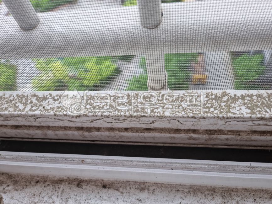 먼지,미세먼지,창틀,거실창,베란다창,창문