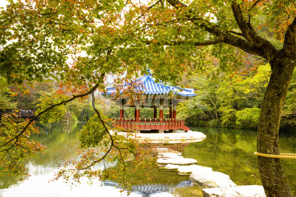 자연,풍경,경관,경치,정자,기와집,우화정,연못,계절,가을,단풍철,울긋불긋,단풍,단풍잎,식물,나무,단풍나무,물,물그림자,반영,기와,청기와,내장사,내장산,공원,국립공원,산,가을,계절,fall,autumn,season,자연,풍경,nature,landscape,한국자연풍경,한국자연경관,korea nature landscape