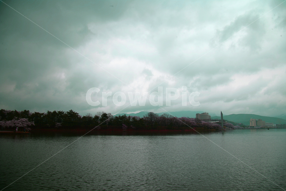경주,보문호수,벚꽃,흐린날,nature,water,자연,풍경,nature,landscape