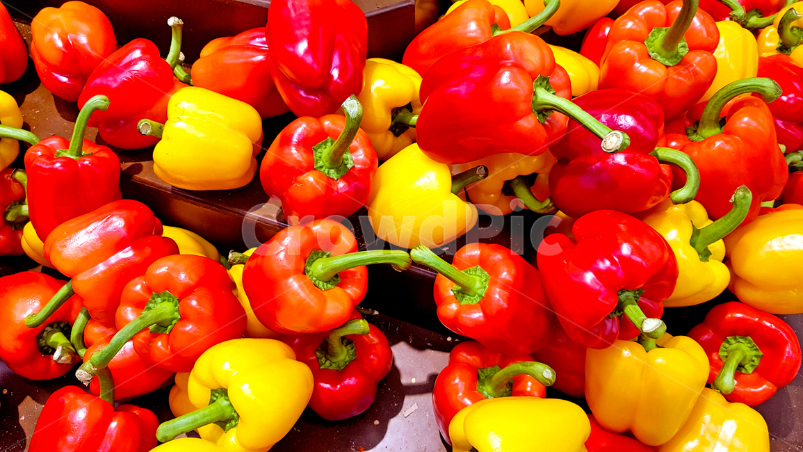 채소,야채,신선,파프리카,fresh,프래쉬,프레쉬,먹거리,음식,피망,신선함,빨간색,노란색,음식,식재료,요리,food,cook,meal,dishes,food reserves,채소,야채,vegetables