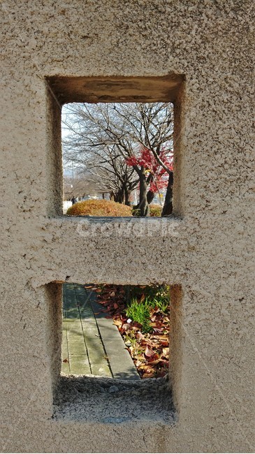 만추,거리,가로수,쓸쓸함,낙엽,가을,한국풍경,가을정취,가을,계절,fall,autumn,season,건축물,건물외관,exterior,building,structure,architecture,construction