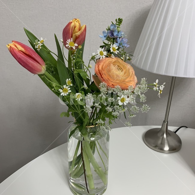 생화,꽃,꽃다발,튤립,꽃꽃이,식물,인테리어,책상,조명,flower,꽃병,물병