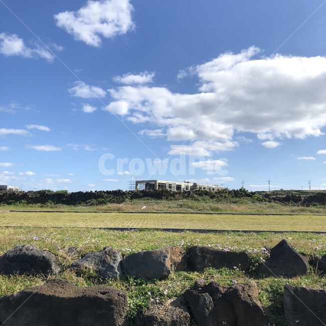 nature,ground,자연,들,field,옥외,outdoors