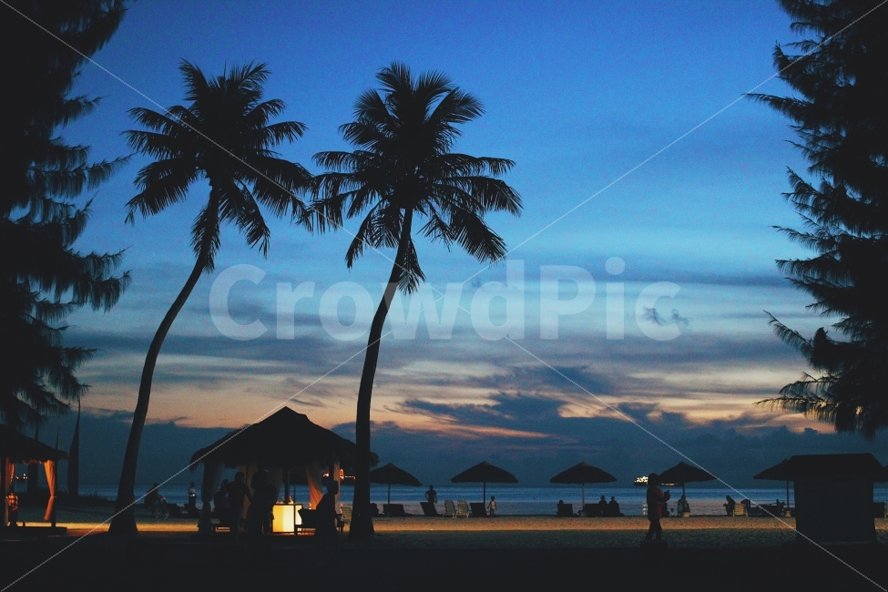 사이판,해변,야자수,석양,휴가,sunset,휴양지,saipan,여름,여유로움,자연,풍경,nature,landscape,여름,계절,summer,season,해변,바다,beach,sea,여행,휴가,traveling,vacation,trip,해외,외국,세계,foreign,oversea,world